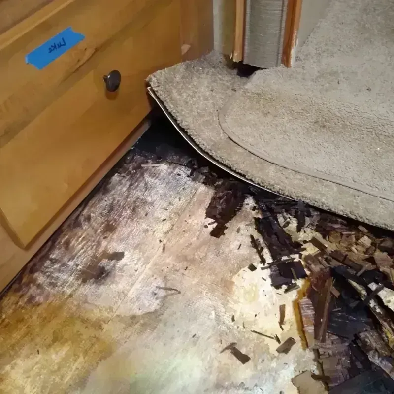 Wood Floor Water Damage in Scott County, MO